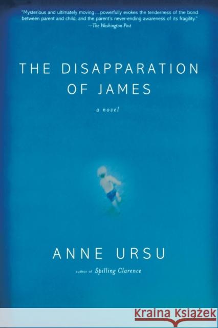 The Disapparation of James Anne Ursu 9780786886630 Theia