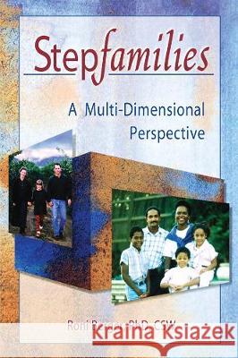 Stepfamilies: A Multi-Dimensional Perspective Berger, Roni 9780789002808 Haworth Press