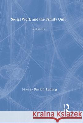 Social Work and the Family Unit David J. Ludwig 9780789011978 Haworth Press