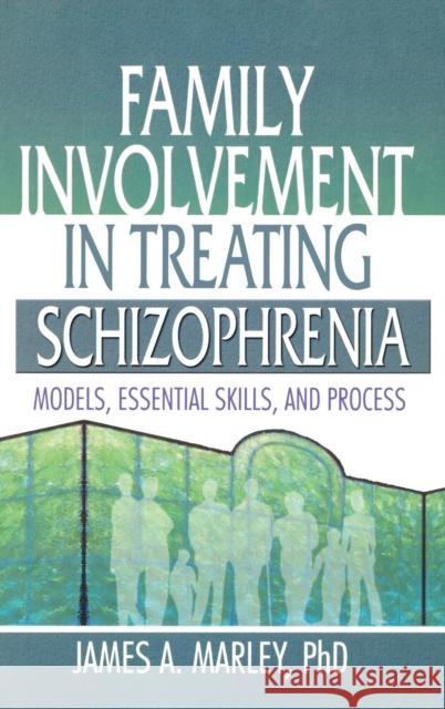 Family Involvement in Treating Schizophrenia: Models, Essential Skills, and Process Marley, James a. 9780789012494