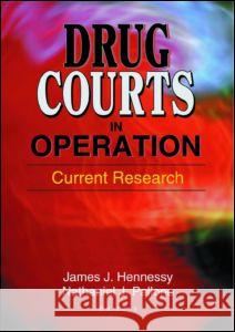 Drug Courts in Operation: Current Research: Current Research Hennessy, James Joseph 9780789016942