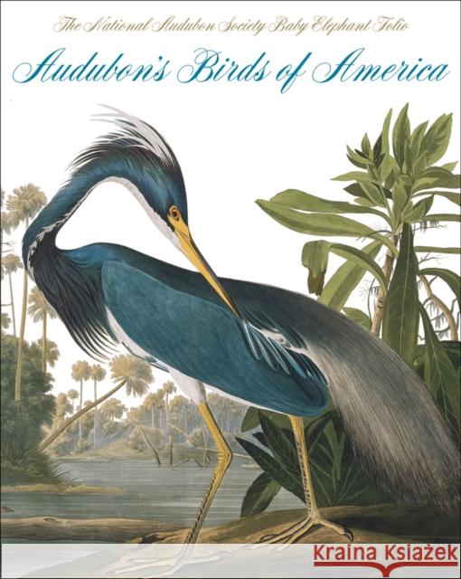 Audubon's Birds of America: The National Audubon Society Baby Elephant Folio Virginia Marie Peterson 9780789208149 ABBEVILLE PRESS INC.,U.S.