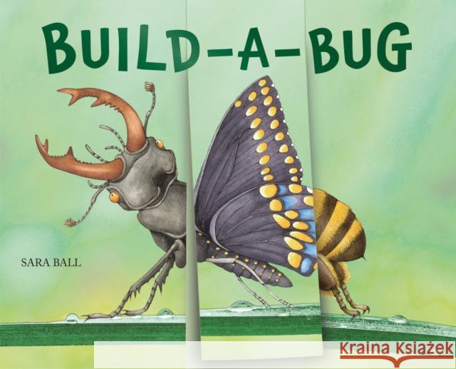 Build-a-Bug: Make Your Own Wacky Insect! Sara Ball 9780789214287 Abbeville Press Inc.,U.S.