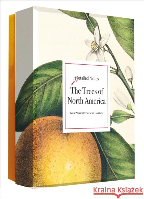 The Trees of North America: A Detailed Notes Notecard Box Editors of Abbeville Press 9780789254580