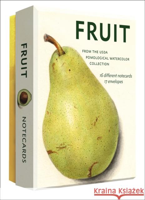 Fruit: Selections from the USDA Pomological Watercolor Collection Editors of Abbeville Press 9780789254610 Abbeville Press