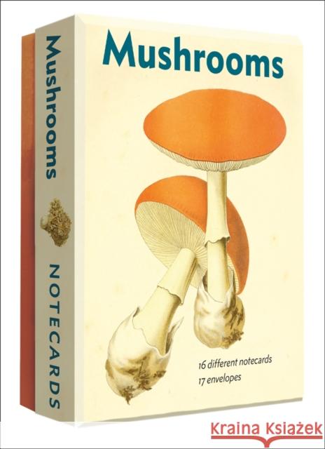 Mushrooms Detailed Notecard Set  9780789254634 Abbeville Press Inc.,U.S.