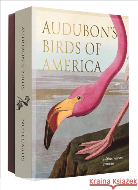 Audubon's Birds of America: An Abbeville Notecard Set Editors of Abbeville Press 9780789254733 Abbeville Press