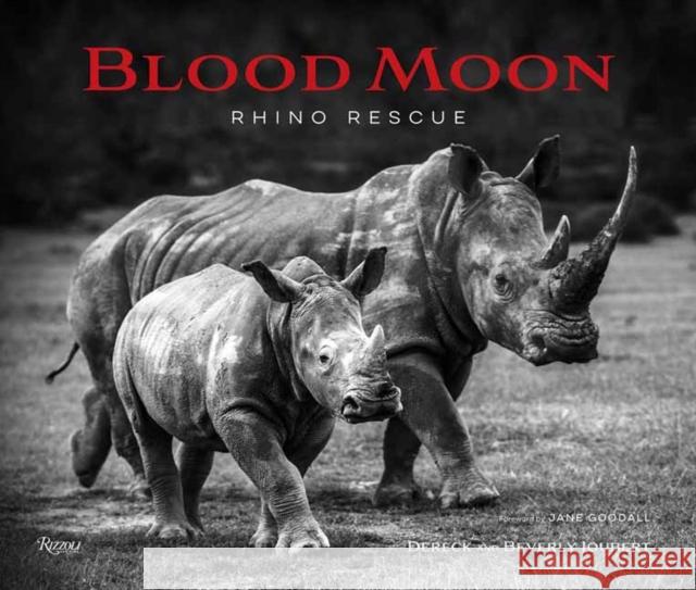 Blood Moon: Rescuing the Rhino Beverly Joubert 9780789344397 Rizzoli International Publications