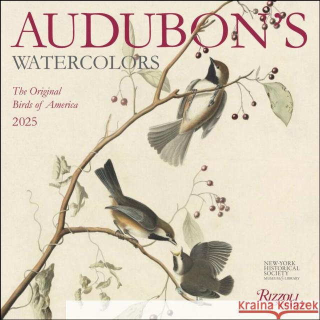 Audubon's Watercolors 2025 Wall Calendar The New York Historical Society 9780789344687