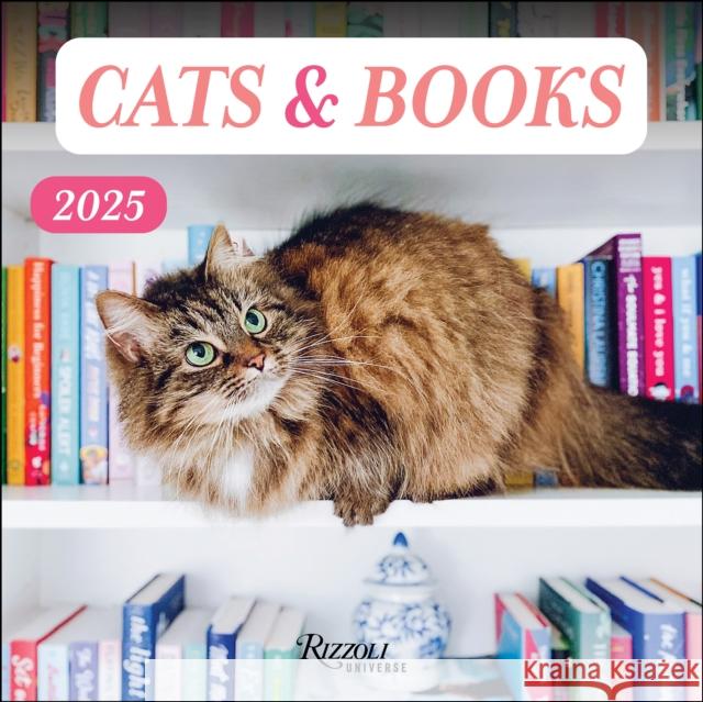 Cats & Books 2025 Wall Calendar Rizzoli Universe 9780789344748 Rizzoli Universe