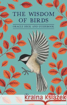 The Wisdom of Birds: Oracle Deck & Guidebook Raxenne Maniquiz 9780789346315 Rizzoli Universe