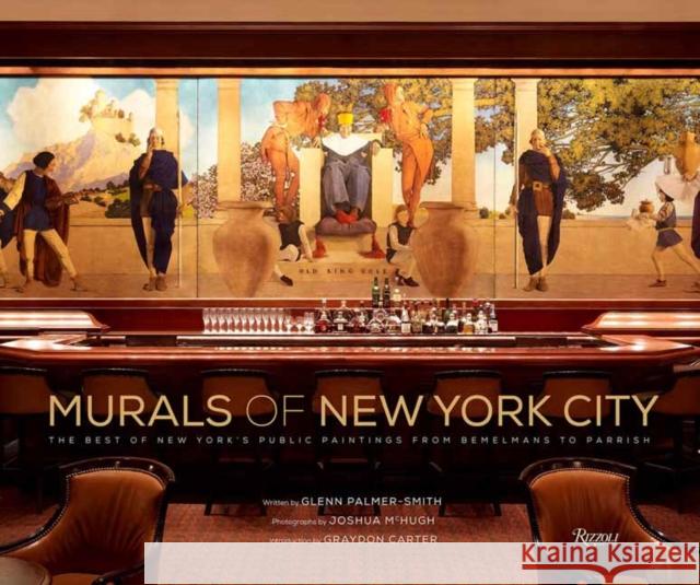 Murals Of New York City Joshua McHugh 9780789347077 Rizzoli International Publications