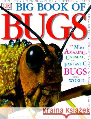 Big Book of Bugs Theresa Greenaway 9780789465207 DK Publishing (Dorling Kindersley)