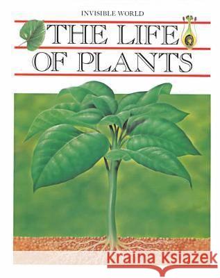 The Life of Plants (Inv World) M. Angels Julivert Angels Julivert 9780791021293 Chelsea House Publications