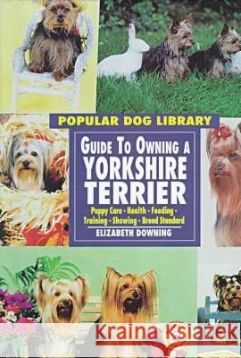 Guide to Owning a Yorkshire Terrier  9780791054789 Chelsea House Publishers