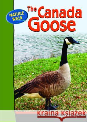 The Canada Goose James V. Bradley 9780791091135 Chelsea House Publications