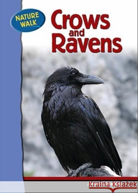Crows and Ravens James V. Bradley 9780791091159 Chelsea Clubhouse