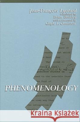 Phenomenology Jean-Francois Lyotard Brian Beakley Gayle L. Ormiston 9780791408063