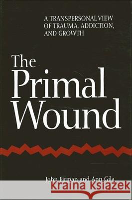 The Primal Wound: A Transpersonal View of Trauma, Addiction, and Growth Firman, John 9780791432945 State University of New York Press