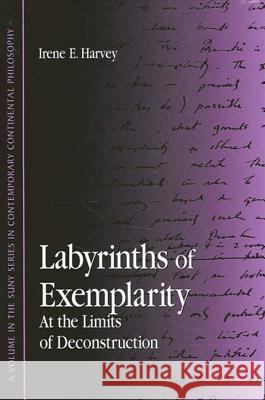 Labyrinths of Exemplarity: At the Limits of Deconstruction Irene E. Harvey 9780791454633 State University of New York Press