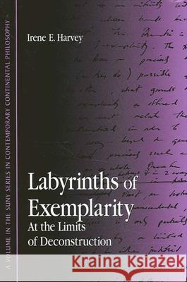 Labyrinths of Exemplarity: At the Limits of Deconstruction Irene E. Harvey 9780791454640 State University of New York Press