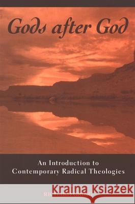 Gods After God: An Introduction to Contemporary Radical Theologies Richard Grigg 9780791466407 State University of New York Press