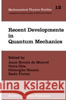 Recent Developments in Quantum Mechanics Brasov Conference 1989 9780792311485 Kluwer Academic Publishers