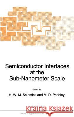 Semiconductor Interfaces at the Sub-Nanometer Scale H. W. M. Salemink M. D. Pashley H. W. M. Salemink 9780792323976 Kluwer Academic Publishers