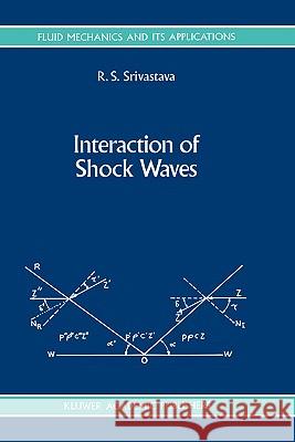 Interaction of Shock Waves Radhey Shyam Srivastava R. S. Srivastava 9780792329206 Springer