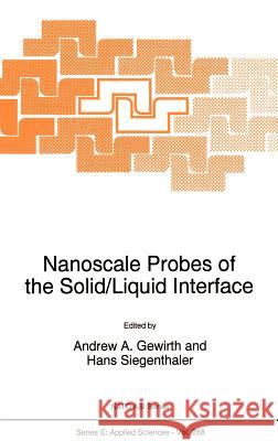 Nanoscale Probes of the Solid/Liquid Interface Andrew A. Gewirth Hans Siegenthaler H. Siegenthaler 9780792334545