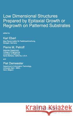 Low Dimensional Structures Prepared by Epitaxial Growth or Regrowth on Patterned Substrates Karl Eberl Pierre M. Petroff K. Eberl 9780792336792 Springer