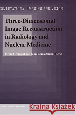 Three-Dimensional Image Reconstruction in Radiology and Nuclear Medicine Pierre Grangeat Pierre Grangeat Jean-Louis Amans 9780792341291 Kluwer Academic Publishers