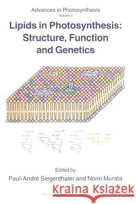 Lipids in Photosynthesis: Structure, Function and Genetics Paul A. Siegenthaler Norio Murata Paul-Andri Siegenthaler 9780792351733 Springer
