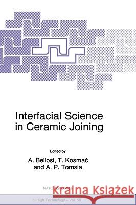 Interfacial Science in Ceramic Joining Alida Bellosi Antonio Tomsia Tomaz Kosmac 9780792352211 Kluwer Academic Publishers