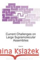 Current Challenges on Large Supramolecular Assemblies Georges Tsoucaris 9780792353140