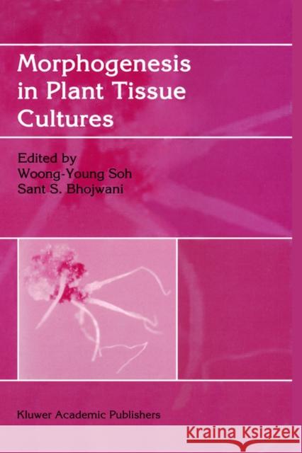 Morphogenesis in Plant Tissue Cultures Woong Y. Soh Sant S. Bhojwani Soh Woong-Youn 9780792356820