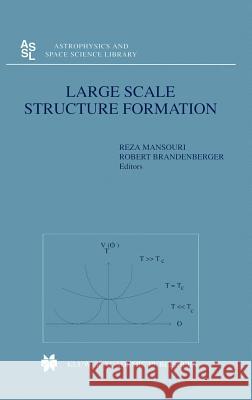 Large Scale Structure Formation Reza Mansouri Robert Brandenberger 9780792364115 Kluwer Academic Publishers