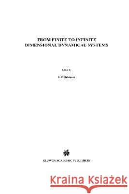 From Finite to Infinite Dimensional Dynamical Systems James Robinson Jc Robinson James C. Robinson 9780792369752 Springer Netherlands