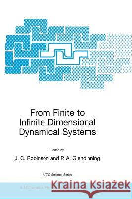 From Finite to Infinite Dimensional Dynamical Systems James C. Robinson Paul A. Glendinning 9780792369769 Springer