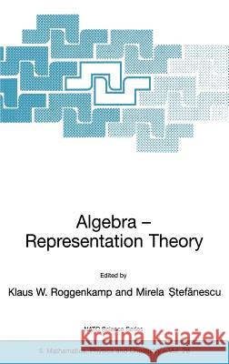 Algebra - Representation Theory Klaus W. Roggenkamp Mirela Stefanescu Klaus W. Roggenkamp 9780792371137 Kluwer Academic Publishers