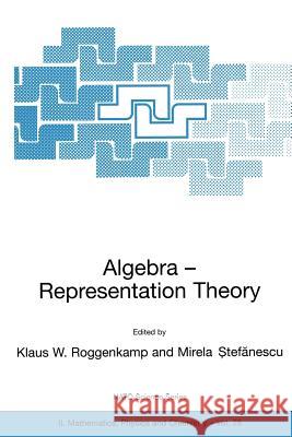 Algebra - Representation Theory Klaus W. Roggenkamp Mirela Stefanescu 9780792371144 Springer