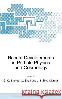 Recent Developments in Particle Physics and Cosmology G. C. Branco Q. Shafi J. I. Silva-Marcos 9780792371816 Kluwer Academic Publishers