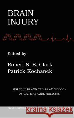 Brain Injury Robert S. B. Clark Patrick Kochanek Robert S. B. Clark 9780792375326 Kluwer Academic Publishers
