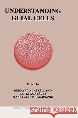 Understanding Glial Cells Bernardo Castellano Manuel Nieto-Sampedro Berta Gonzalez 9780792381402 Springer Netherlands