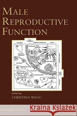Male Reproductive Function Christina Wang 9780792385202 Kluwer Academic Publishers