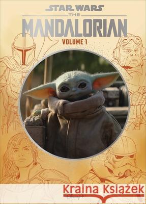 Star Wars: The Mandalorian Editors of Studio Fun International 9780794447694 Sfi Readerlink Dist