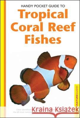 Tropical Coral Reef Fishes Gerald R. Allen Roger Steene Rudie H. Kuiter 9780794601867 Periplus Editions
