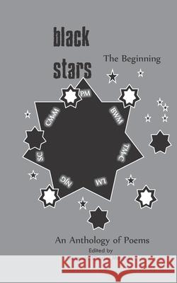 Black Stars: The Beginning Catherine Magodo-Mutukwa Tendai Mtukwa Pearson Mbendera 9780797466432