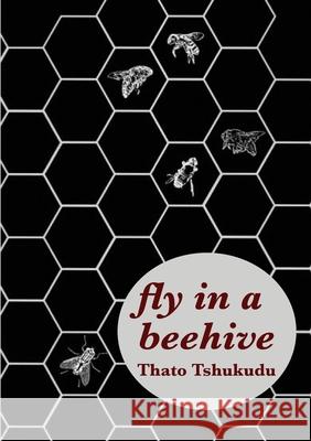 fly in a beehive Tshukudu, Thato 9780797484924 Mwanaka Media and Publishing