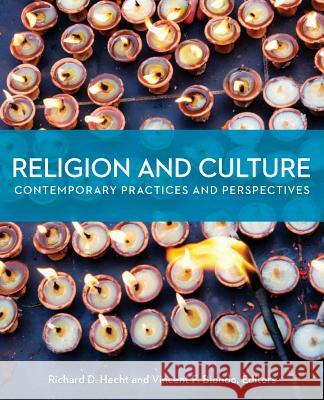 Religion and Culture: Contemporary Practices and Perspectives Richard Hecht 9780800698980